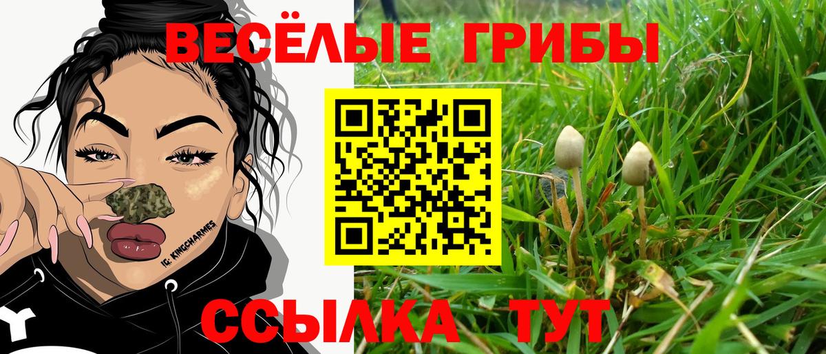 Псилоцибиновые грибы Cubensis Аксай